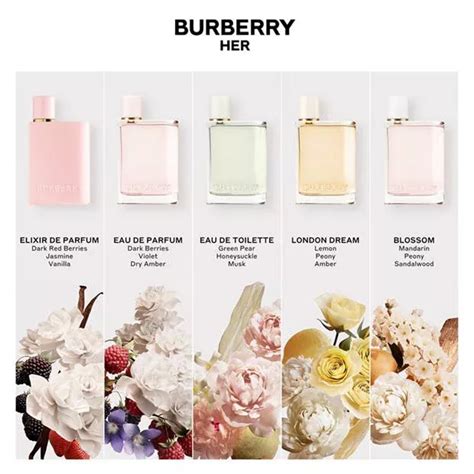 burberry london scent notes|burberry london perfume smells like.